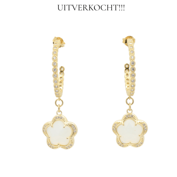 Creolen Sterling verguld zilver